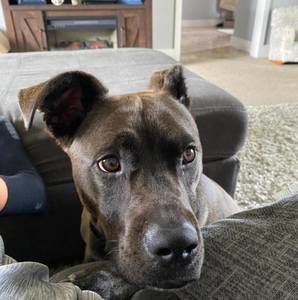 Meet your Posher, Braylon